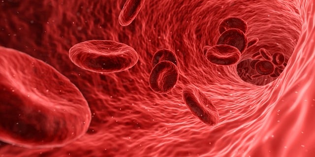 medical-translation-3